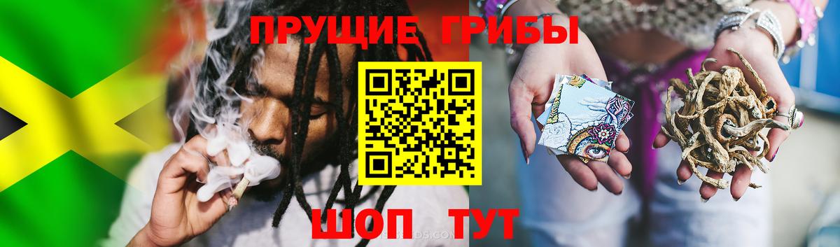 Рассказово  сколько стоит  Вход с VPN  Псилоцибиновые грибы ЛСД 