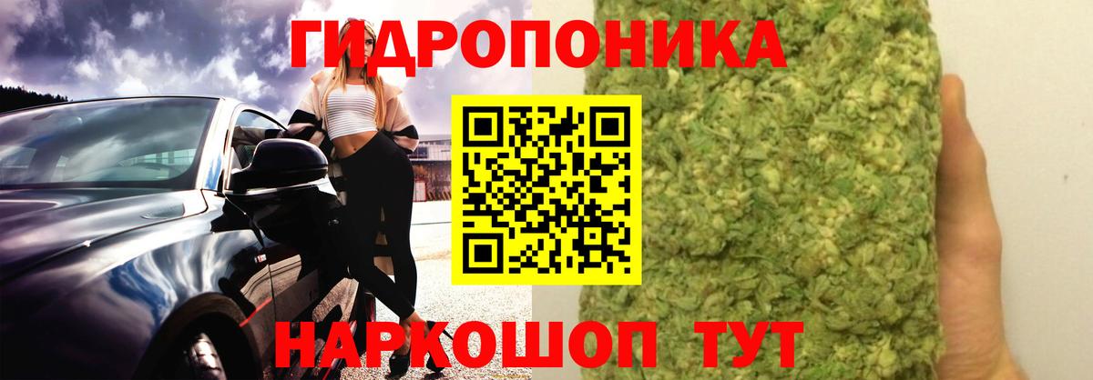 Каннабис сатива Рассказово